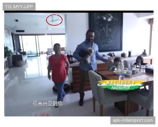 袁心玥家的猫住的都比我家好 袁心玥家的猫住的都比我家好